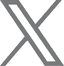 x icon
